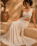 Ivory Celeste Embroidered Net Saree